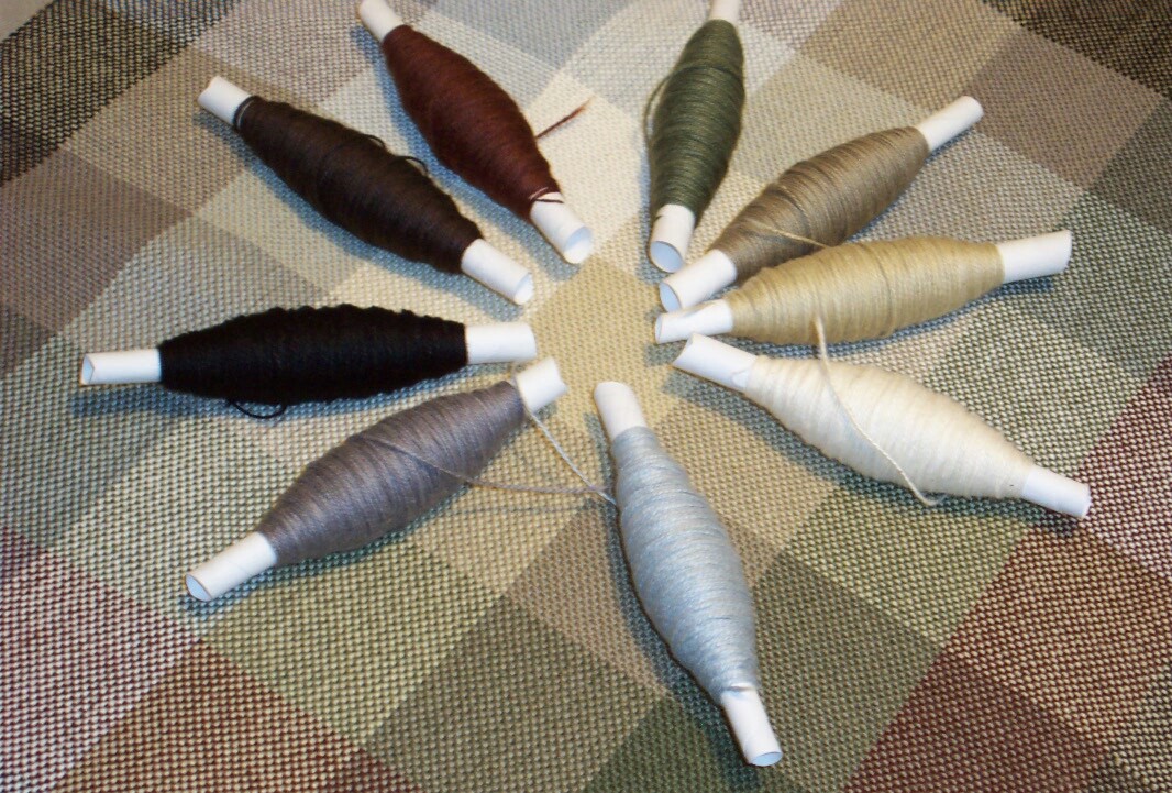 Neutral Colour Gamp