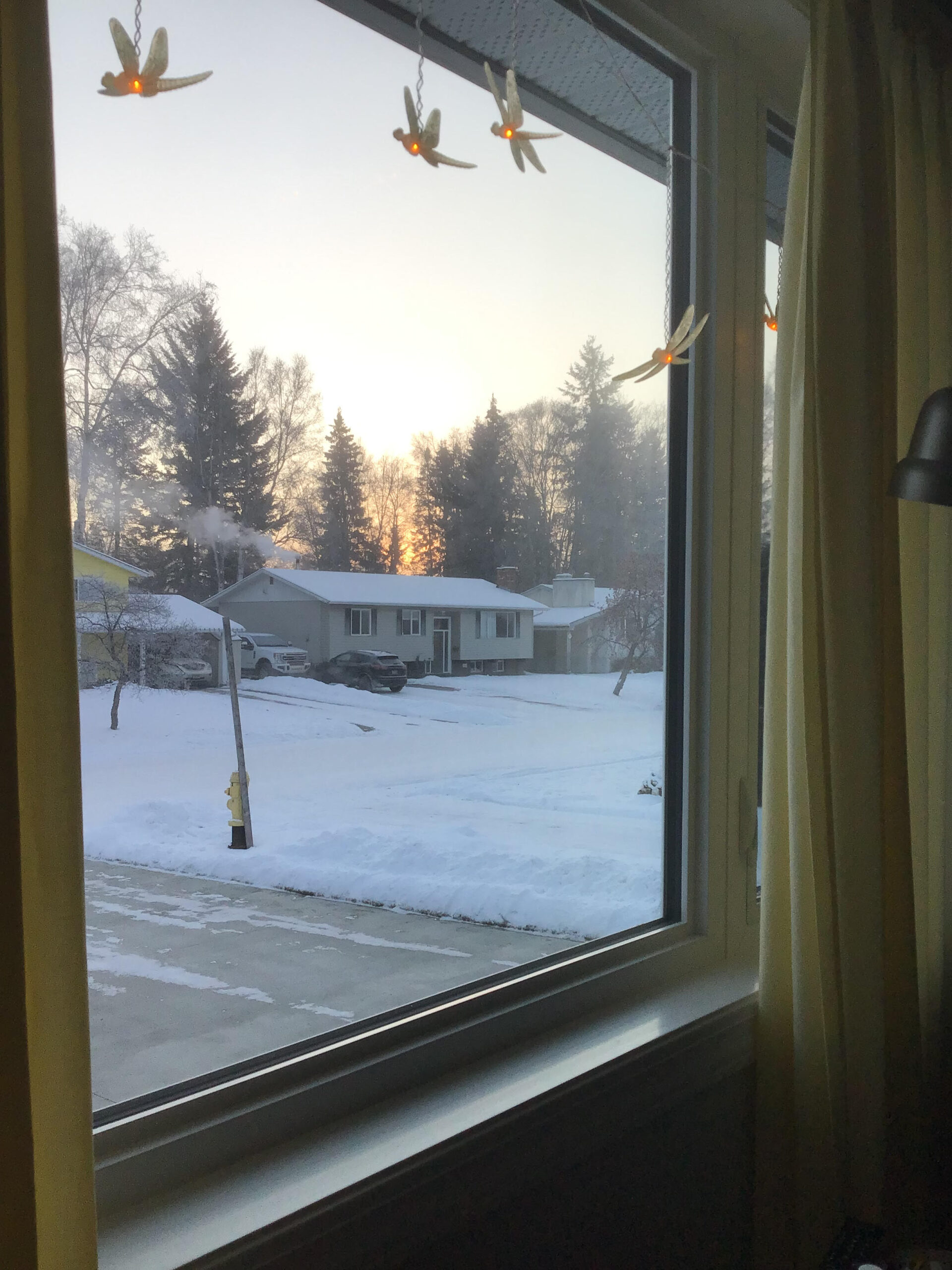 First Snow