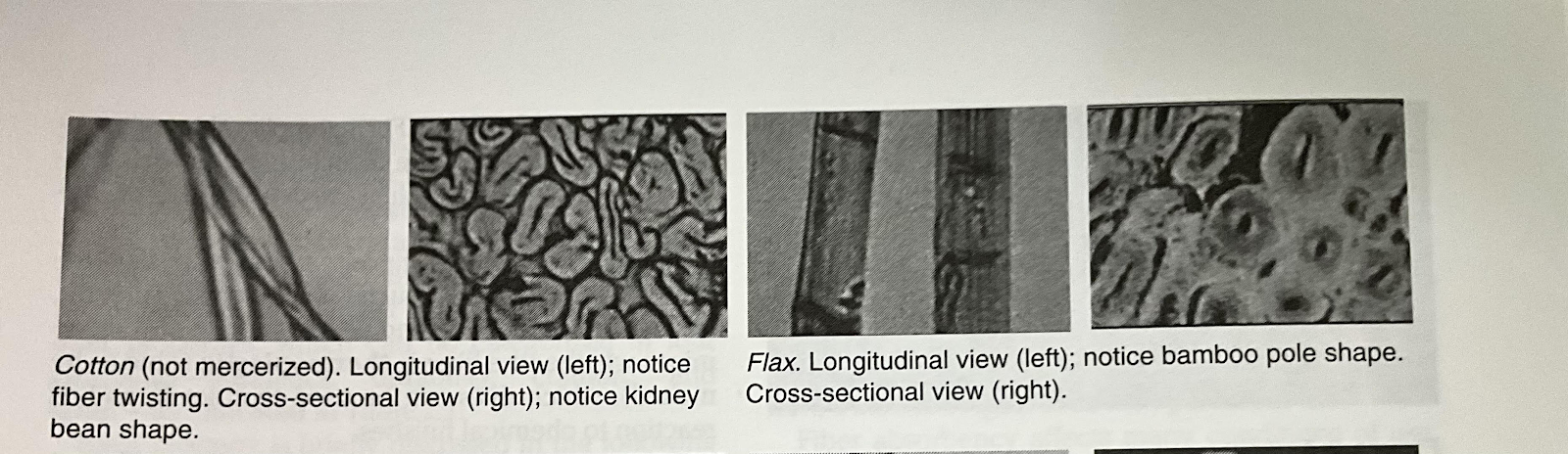 Flax vs Cotton