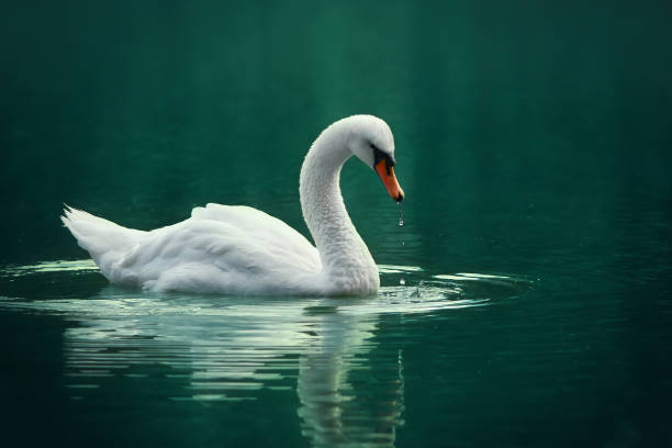 Weaving A Life